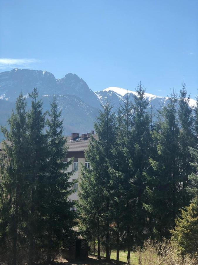 Vektron Daire Zakopane Dış mekan fotoğraf